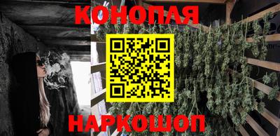 соль ск Гатчина