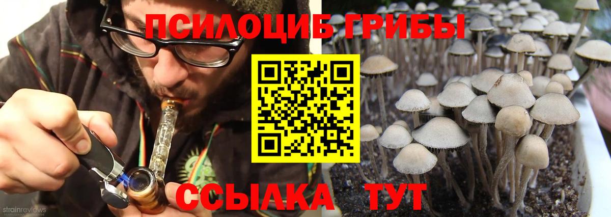 Псилоцибиновые грибы прущие грибы Людиново